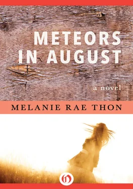 Melanie Thon Meteors in August обложка книги