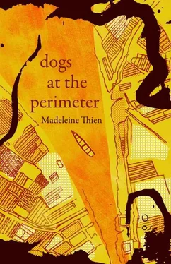 Madeleine Thien Dogs at the Perimeter обложка книги