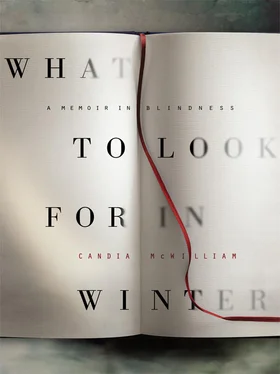 Candia McWilliam What to Look for in Winter обложка книги