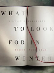 Candia McWilliam - What to Look for in Winter