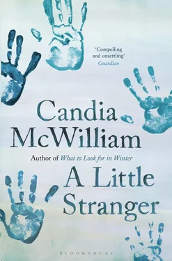 Candia McWilliam A Little Stranger обложка книги