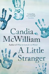 Candia McWilliam - A Little Stranger
