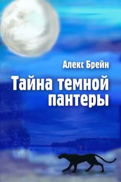 Алекс Брейн Тайна темной пантеры обложка книги