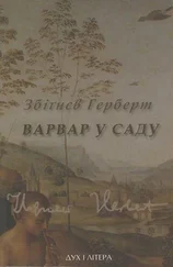 Збіґнєв Герберт - Варвар у саду