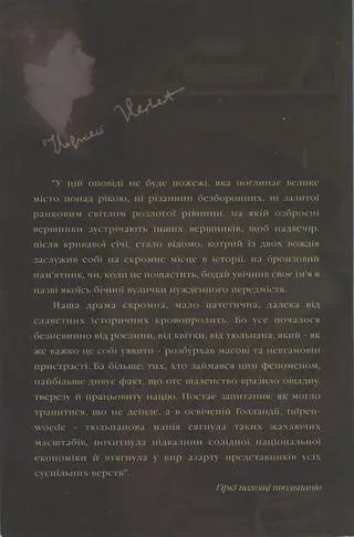 У цій оповіді не буде пожежі яка поглинає велике місто понад рікою ні - фото 1