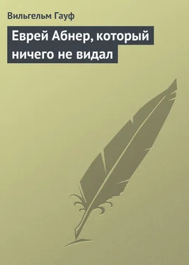 Вильгельм Гауф Еврей Абнер, который ничего не видал обложка книги