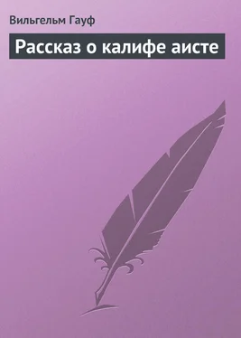 Вильгельм Гауф Рассказ о калифе аисте обложка книги