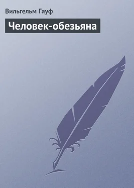 Вильгельм Гауф Человек-обезьяна обложка книги