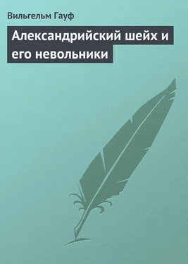 Вильгельм Гауф Александрийский шейх и его невольники обложка книги