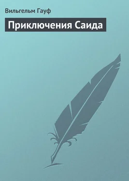 Вильгельм Гауф Приключения Саида обложка книги