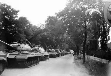 Во внешней политике массированный ввод бронетанковых сил СССР и стран - фото 15