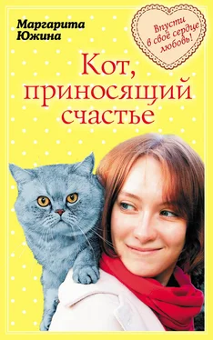 Маргарита Южина Кот, приносящий счастье обложка книги