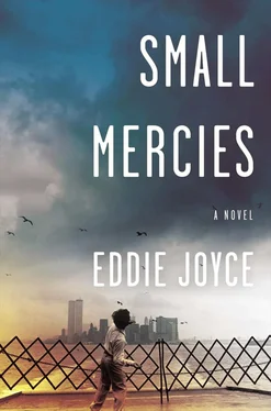 Eddie Joyce Small Mercies обложка книги