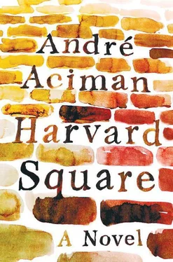 André Aciman Harvard Square обложка книги