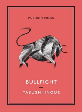 Yasushi Inoue Bullfight обложка книги