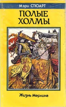 Мэри Стюарт Полые холмы. Жизнь Мерлина обложка книги