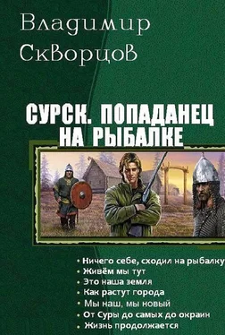 Владимир Скворцов Попаданец на рыбалке. Книги 1-7 (СИ) обложка книги