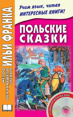 Максим Дзевенис Польские сказки обложка книги