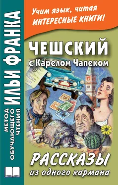 Александра Эскина Чешский с Карелом Чапеком. Рассказы из одного кармана обложка книги