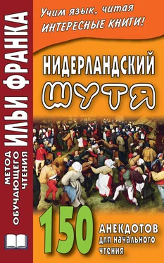 Сергей Павлик Нидерландский шутя. 150 анекдотов для начального чтения обложка книги