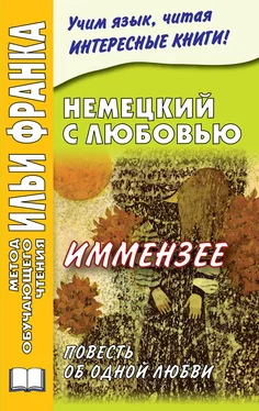 Ирина Солнцева Немецкий с любовью. Иммензее. Повесть об одной любви обложка книги