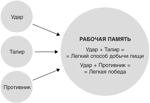 Конъюнктивная связка Процесс установления конъюнктивной связки который давал - фото 44