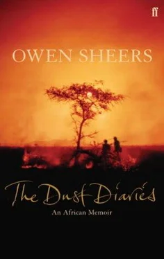 Owen Sheers The Dust Diaries обложка книги