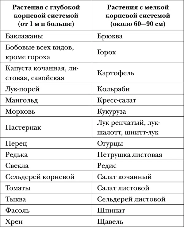 Если планируется высадить для защиты овощных культур одуванчик или цикорий то - фото 1