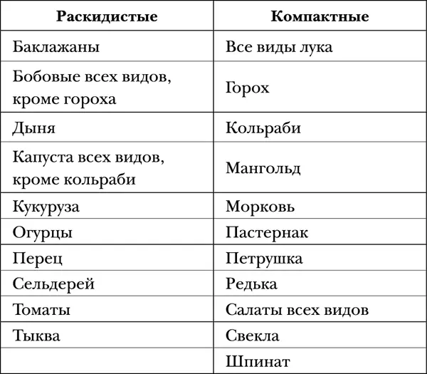 Высаживая разные овощные растения на одну грядку следует подбирать их по - фото 2