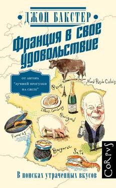 Джон Бакстер Франция в свое удовольствие. В поисках утраченных вкусов обложка книги