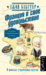 Джон Бакстер - Франция в свое удовольствие. В поисках утраченных вкусов