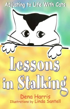 Dena Harris Lessons in Stalking обложка книги