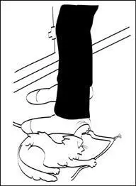 Having two cats is like having two children where you must never ever bring - фото 13