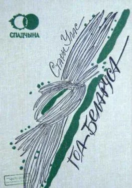 Уладзіслаў Сівы-Сівіцкі Год беларуса: Вершы. Вершав. апавяданні. Публіцыстыка обложка книги