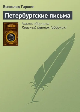 Всеволод Гаршин Петербургские письма обложка книги