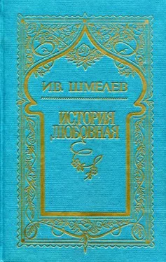 Иван Шмелев Том 6. История любовная обложка книги