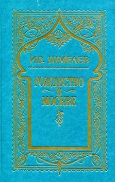 Иван Шмелев Том 3. Рождество в Москве обложка книги