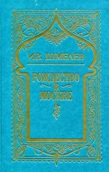 Иван Шмелев - Том 3. Рождество в Москве