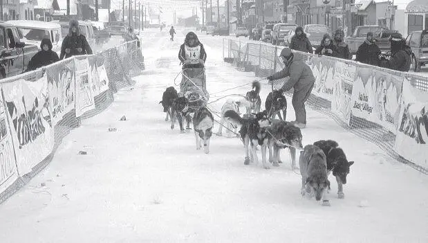 Musher Ron Aldrich and his team work their way up the chute to the finish line - фото 11