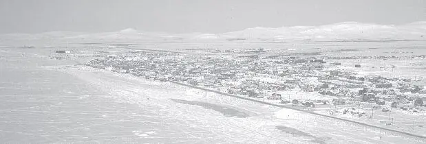 Nome the City of the Golden Beaches lies on the north shore of the Bering - фото 12