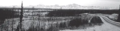 Mount McKinley called Denali the Great One by Alaska Natives dominates the - фото 27