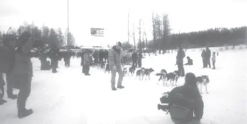 The Knik 200 is traditionally the start of the distance racing season in south - фото 32