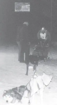 The author finishes the Knik 200 his first distance race in 20th place - фото 33