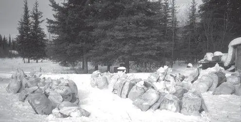 Bags of dog food and supplies sent ahead by mushers await the teams at the - фото 37
