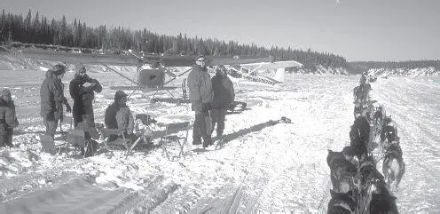 A stream of mushers passes an impromptu flyin trail party on the Yentna River - фото 42