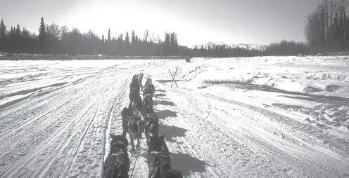 Even wideopen trails on major rivers can conceal dangers The crossed trail - фото 43