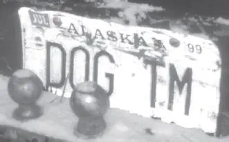 This custom license plate says it all Alaska is the world mecca for dog - фото 51