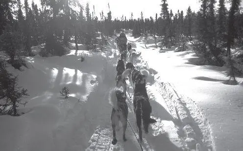Sometimes mushers will run together on isolated stretches of trail both for - фото 54