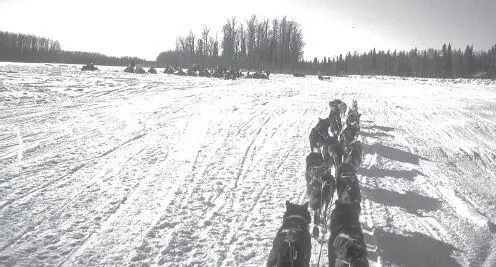Two dozen snowmachiners are having a trail party near the mouth of the Yentna - фото 70