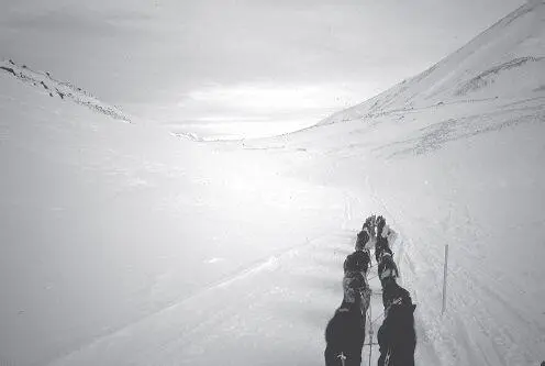 The barren often windswept summit of Rainy Pass in the Alaska Range is more - фото 75